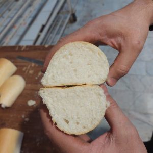 بهبود دهنده باگت