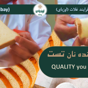 ایزی تست
